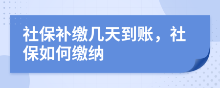 社保补缴几天到账，社保如何缴纳