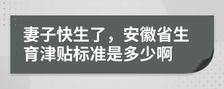 妻子快生了，安徽省生育津贴标准是多少啊