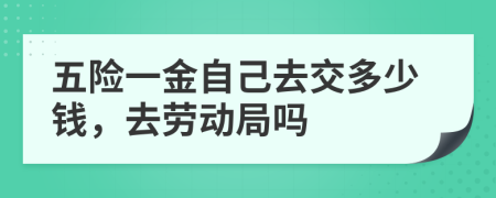 五险一金自己去交多少钱，去劳动局吗