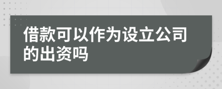 借款可以作为设立公司的出资吗