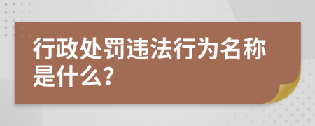 行政处罚违法行为名称是什么？