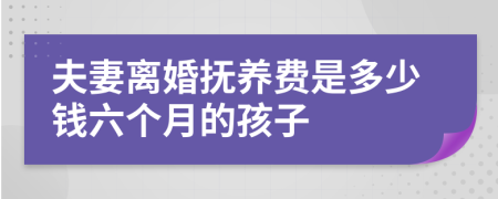 夫妻离婚抚养费是多少钱六个月的孩子