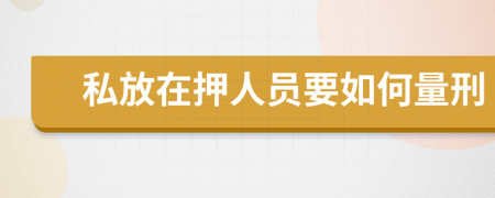 私放在押人员要如何量刑