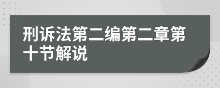 刑诉法第二编第二章第十节解说