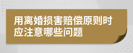 用离婚损害赔偿原则时应注意哪些问题