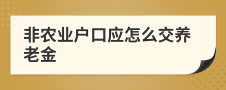 非农业户口应怎么交养老金