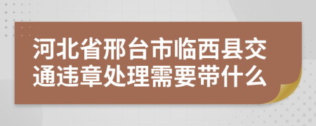 河北省邢台市临西县交通违章处理需要带什么