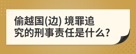 偷越国(边) 境罪追究的刑事责任是什么?