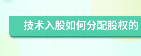 技术入股如何分配股权的
