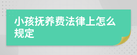小孩抚养费法律上怎么规定