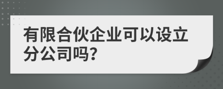 有限合伙企业可以设立分公司吗？