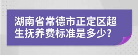 湖南省常德市正定区超生抚养费标准是多少?