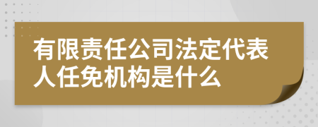 有限责任公司法定代表人任免机构是什么