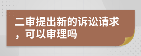 二审提出新的诉讼请求，可以审理吗