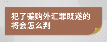 犯了骗购外汇罪既遂的将会怎么判