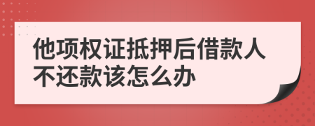 他项权证抵押后借款人不还款该怎么办