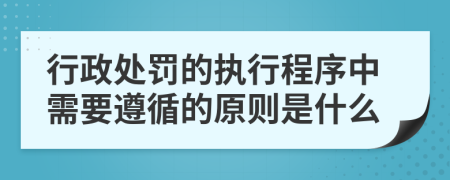 行政处罚的执行程序中需要遵循的原则是什么