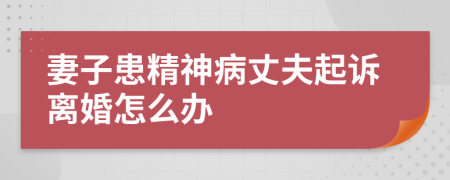 妻子患精神病丈夫起诉离婚怎么办