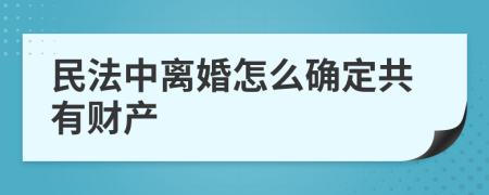 民法中离婚怎么确定共有财产