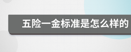 五险一金标准是怎么样的