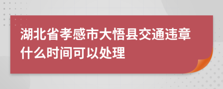 湖北省孝感市大悟县交通违章什么时间可以处理