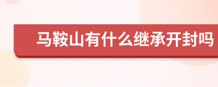 马鞍山有什么继承开封吗
