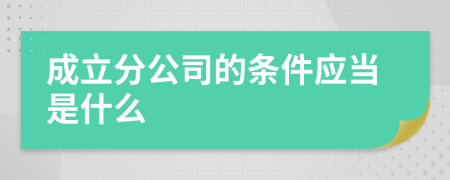 成立分公司的条件应当是什么