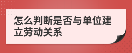 怎么判断是否与单位建立劳动关系