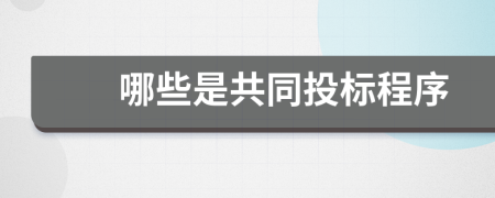 哪些是共同投标程序