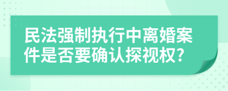 民法强制执行中离婚案件是否要确认探视权?