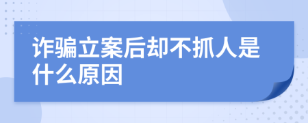 诈骗立案后却不抓人是什么原因