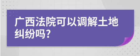 广西法院可以调解土地纠纷吗?