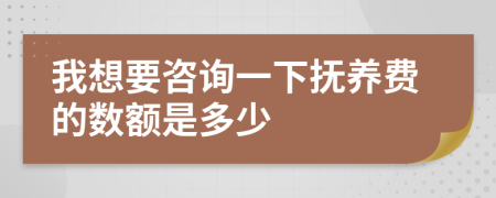 我想要咨询一下抚养费的数额是多少