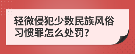 轻微侵犯少数民族风俗习惯罪怎么处罚？