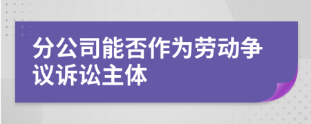 分公司能否作为劳动争议诉讼主体