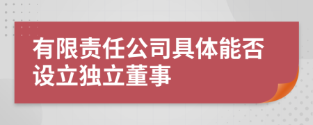 有限责任公司具体能否设立独立董事