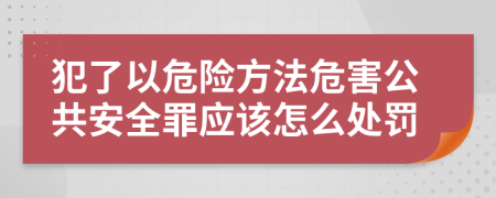 犯了以危险方法危害公共安全罪应该怎么处罚