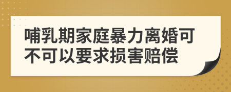 哺乳期家庭暴力离婚可不可以要求损害赔偿