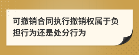 可撤销合同执行撤销权属于负担行为还是处分行为