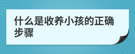 什么是收养小孩的正确步骤