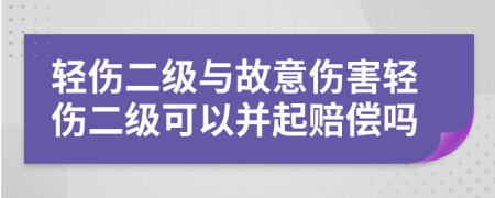 轻伤二级与故意伤害轻伤二级可以并起赔偿吗