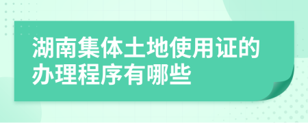 湖南集体土地使用证的办理程序有哪些
