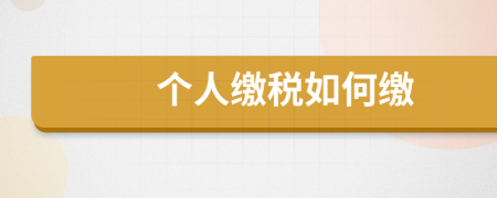 个人缴税如何缴