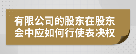 有限公司的股东在股东会中应如何行使表决权