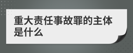 重大责任事故罪的主体是什么