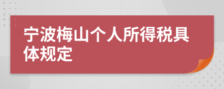 宁波梅山个人所得税具体规定