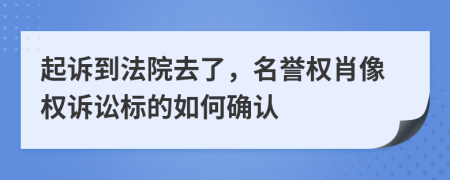 起诉到法院去了，名誉权肖像权诉讼标的如何确认