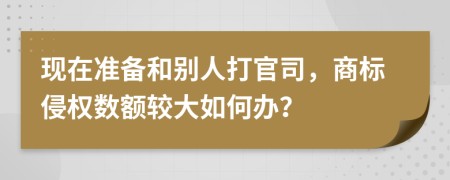 现在准备和别人打官司，商标侵权数额较大如何办？