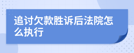 追讨欠款胜诉后法院怎么执行