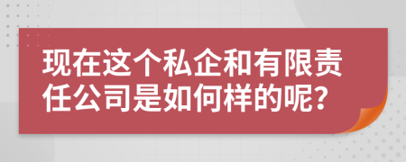 现在这个私企和有限责任公司是如何样的呢？